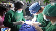 守护生命不分国界！2025年